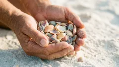 Lato na plaży: co można zabrać ze sobą, a co jest zabronione